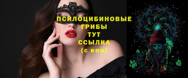 хмурый Алексин