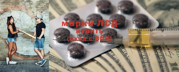 хмурый Алексин