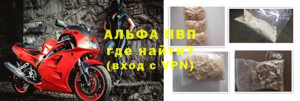 хмурый Алексин