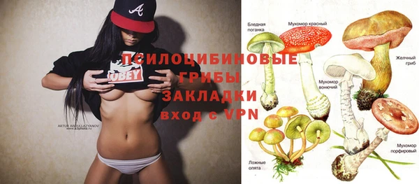винт Алзамай