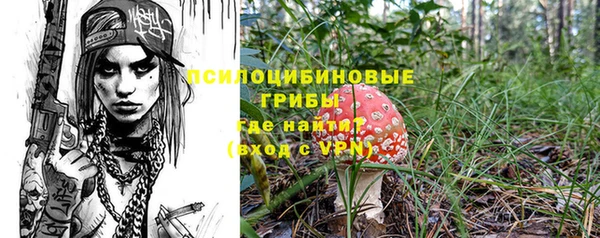 винт Алзамай