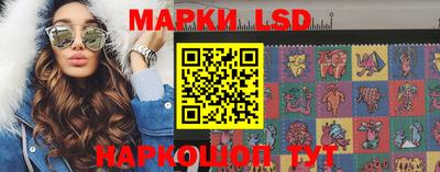 амф Обь