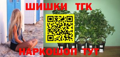 амф Обь