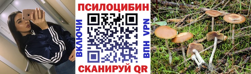 Псилоцибиновые грибы GOLDEN TEACHER  darknet какой сайт  Тамбов 