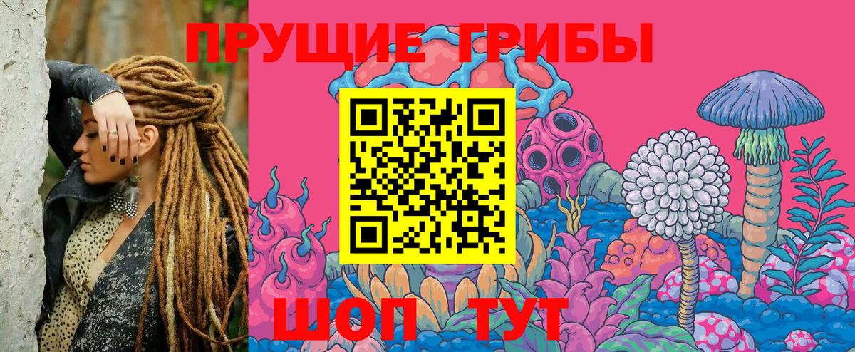 Тамбов  Псилоцибиновые грибы Psilocybe  Вход с VPN  закладки  Псилоцибиновые грибы ЛСД 